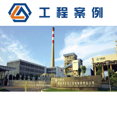 國電龍山發電有限公司